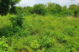 Residential Lot for Sale in Falmouth