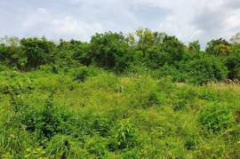 Residential Lot for Sale in Falmouth