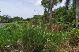 Residential Lot for Sale in Tower Isle