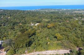 Residential Lot for Sale in Runaway Bay