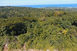 Residential Lot for Sale in Runaway Bay