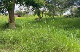 Residential Lot for Sale in Mandeville