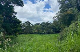 Residential Lot for Sale in Mandeville