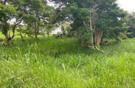 Residential Lot for Sale in Mandeville