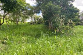 Residential Lot for Sale in Mandeville