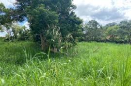 Residential Lot for Sale in Mandeville