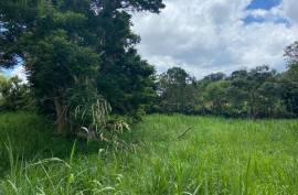 Residential Lot for Sale in Mandeville