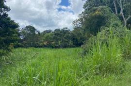 Residential Lot for Sale in Mandeville