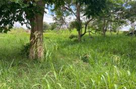 Residential Lot for Sale in Mandeville