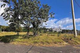 Residential Lot for Sale in Savanna-La-Mar