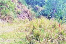 Residential Lot for Sale in Irish Town