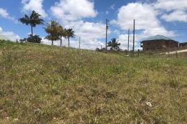 Residential Lot for Sale in Christiana