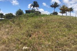 Residential Lot for Sale in Christiana