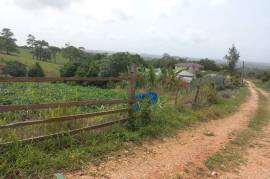 Residential Lot for Sale in Newport