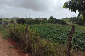 Residential Lot for Sale in Newport