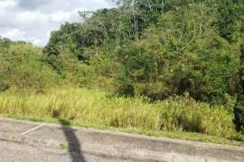 Residential Lot for Sale in Mandeville