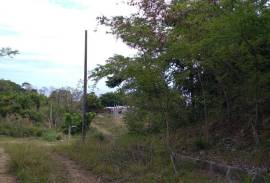 Residential Lot for Sale in Boscobel