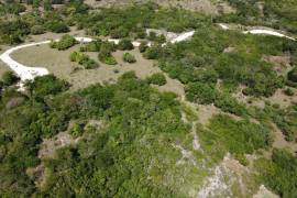 Residential Lot for Sale in Black River