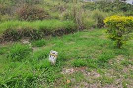 Residential Lot for Sale in Mandeville