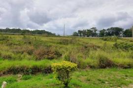 Residential Lot for Sale in Mandeville