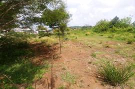 Residential Lot for Sale in Lysons