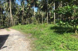 Residential Lot for Sale in Hope Bay