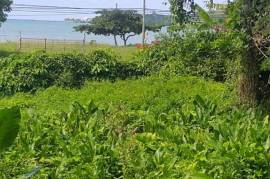 Residential Lot for Sale in Lucea