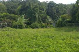 Residential Lot for Sale in Lucea