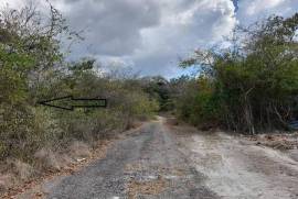 Residential Lot for Sale in Duncans