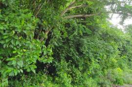 Residential Lot for Sale in Negril