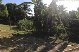 Residential Lot for Sale in Sandy Bay