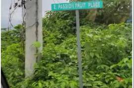 Residential Lot for Sale in Negril