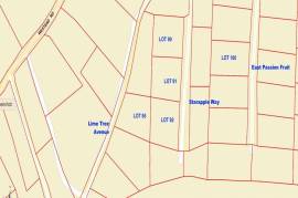 Residential Lot for Sale in Negril