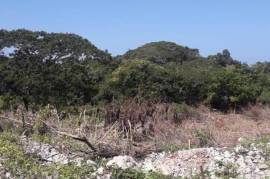 Residential Lot for Sale in Runaway Bay