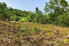 Residential Lot for Sale in Oracabessa