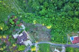 Residential Lot for Sale in Oracabessa