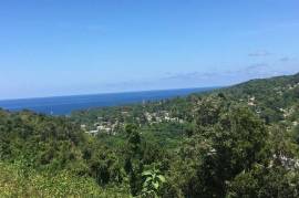 Residential Lot for Sale in Oracabessa