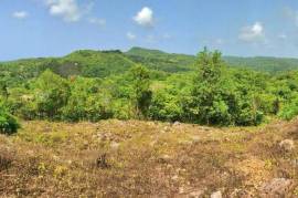 Residential Lot for Sale in Oracabessa