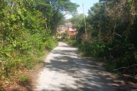 Residential Lot for Sale in Runaway Bay