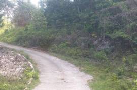 Residential Lot for Sale in Runaway Bay