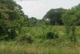 Residential Lot for Sale in Southfield