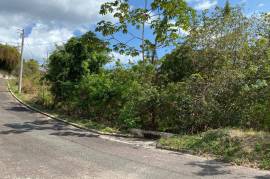 Residential Lot for Sale in White House WD