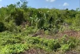 Residential Lot for Sale in Lacovia