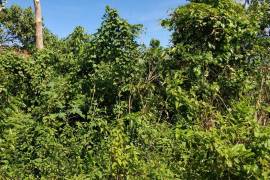 Residential Lot for Sale in St. Margaret's Bay