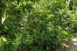 Residential Lot for Sale in St. Margaret's Bay