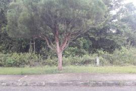 Residential Lot for Sale in Mandeville