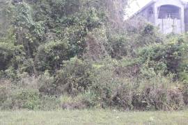 Residential Lot for Sale in Mandeville