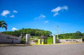 Residential Lot for Sale in Mandeville