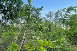 Residential Lot for Sale in Kingston 20