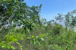 Residential Lot for Sale in Kingston 20